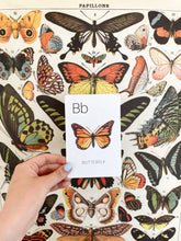 Load image into Gallery viewer, Nature Alphabet Set