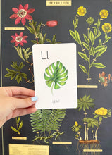 Load image into Gallery viewer, Nature Alphabet Set