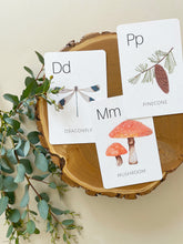 Load image into Gallery viewer, Nature Alphabet Set